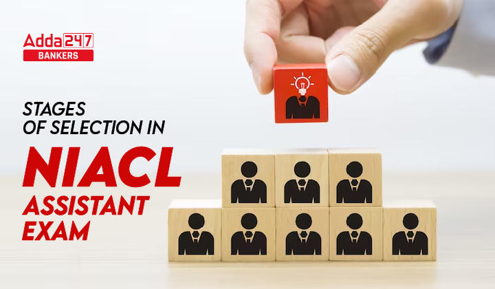 Stages of Selection in NIACL Assistant Exam: जानें NIACL असिस्टेंट पोस्ट पर कैसा होगा सिलेक्शन | Latest Hindi Banking jobs_20.1