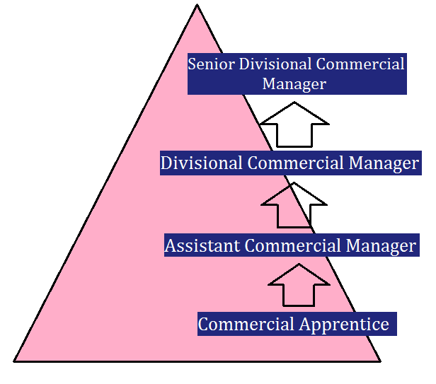 Commercial apprentice career