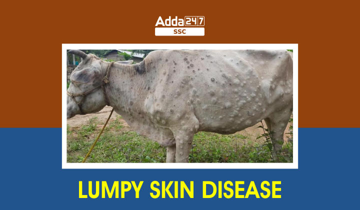 Lumpy Skin Disease in India, Know every Facts about it