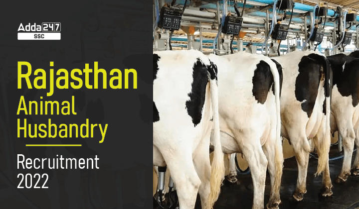 Rajasthan Animal Husbandry Recruitment 2022, Last Date to Apply for 302  Vacancies
