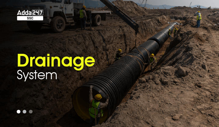 Drainage System of India, Types of Drainage System in India_40.1