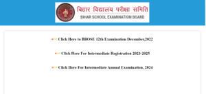 BSEB Dummy Admit Card 2024 Out for Class 10th and 12th_50.1
