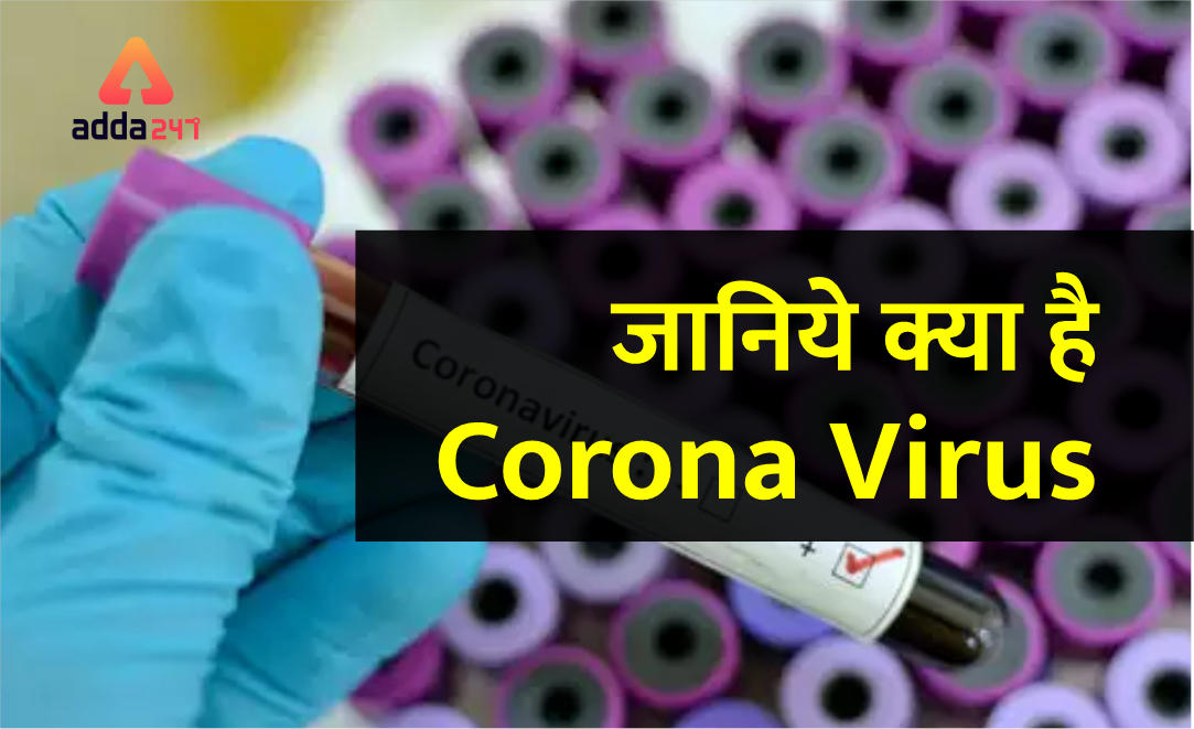 कोरोना वायरस क्या है? क्या हैं बचाव?_40.1