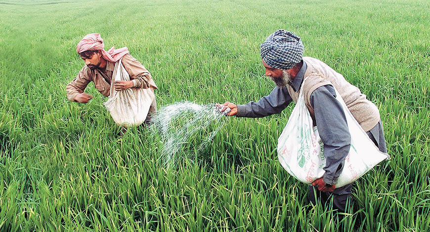 Phase-II DBT in fertilizer subsidy launched_40.1
