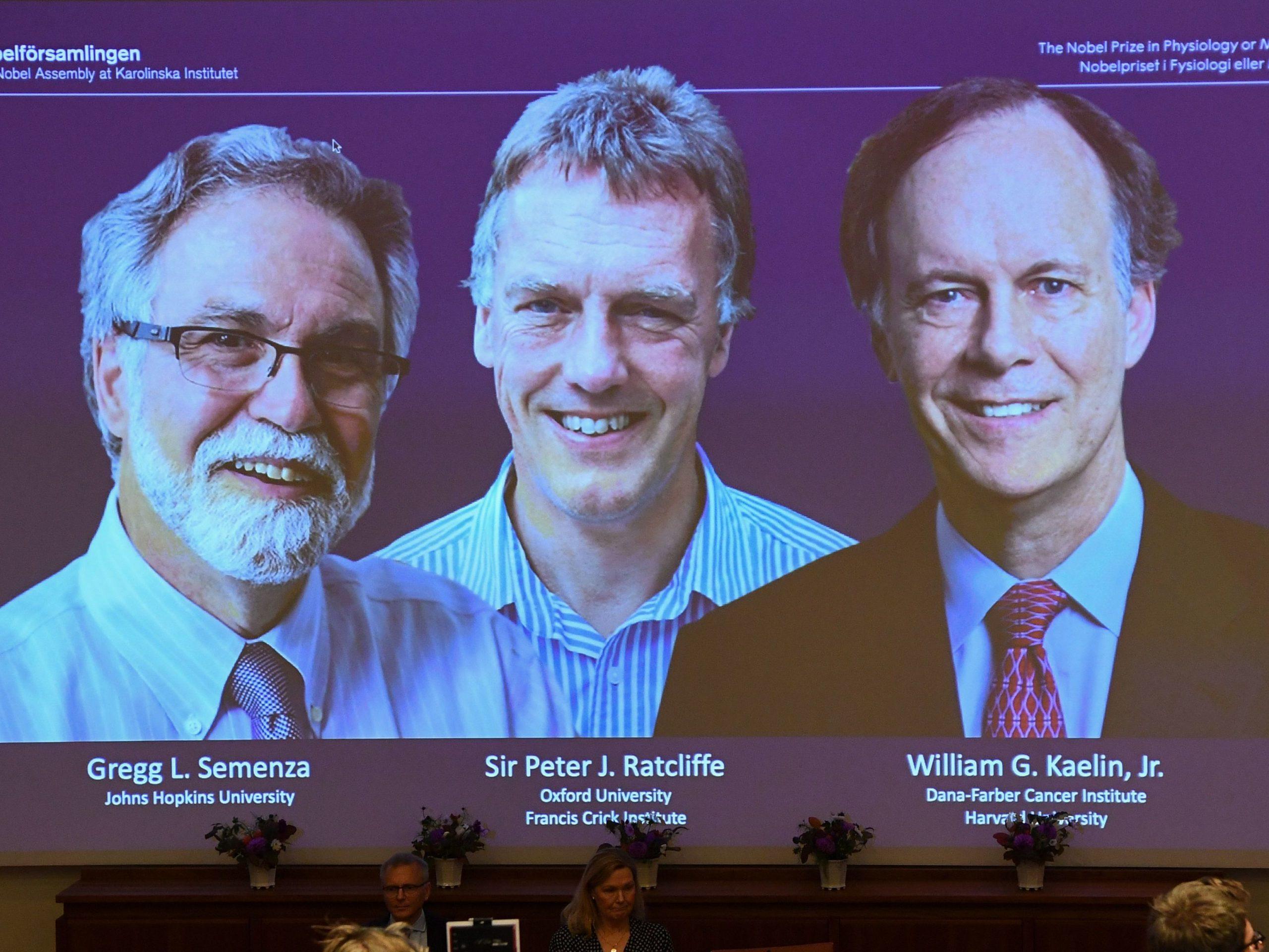 The Nobel Prize in Physiology or Medicine 2019_40.1