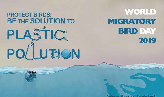 World Migratory Bird Day: 12 October_40.1