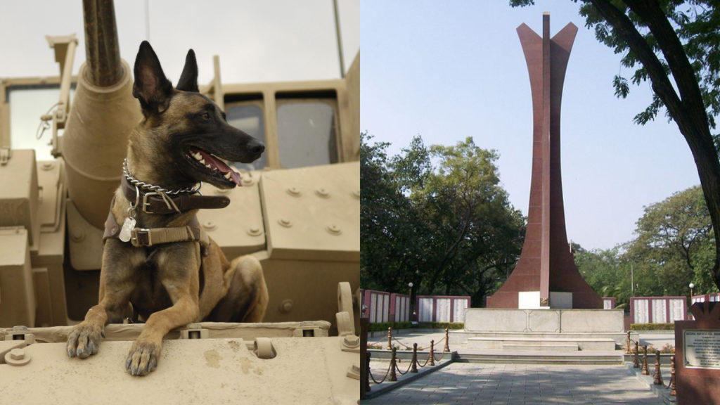 India's 1st war memorial for animals set to open in Meerut_50.1