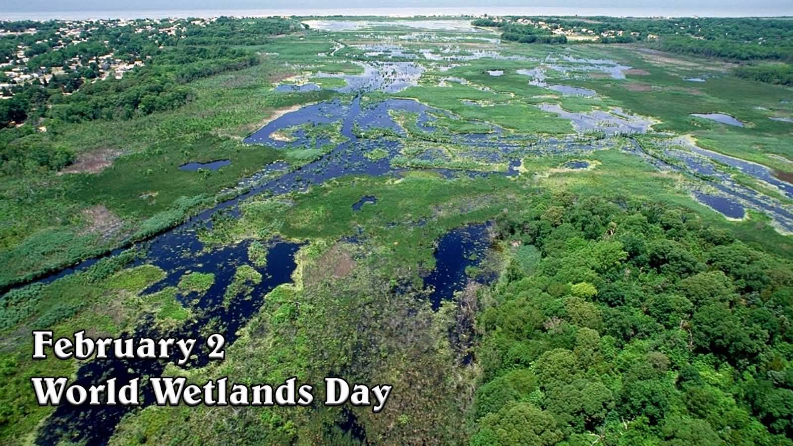 World celebrtates "World Wetlands Day" on 2nd of February_30.1