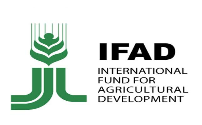 IFAD Governing Council 2020 held in Rome, Italy_40.1