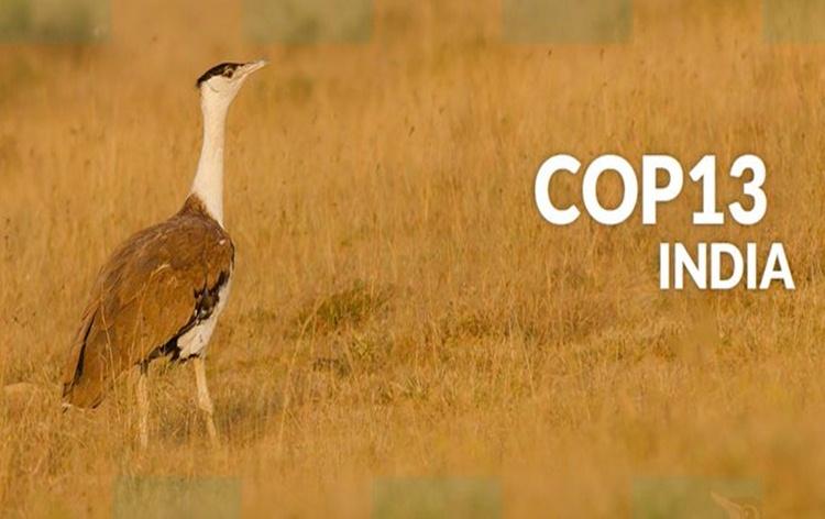 PM Modi to inaugurate UN Convention on Migratory Species_50.1