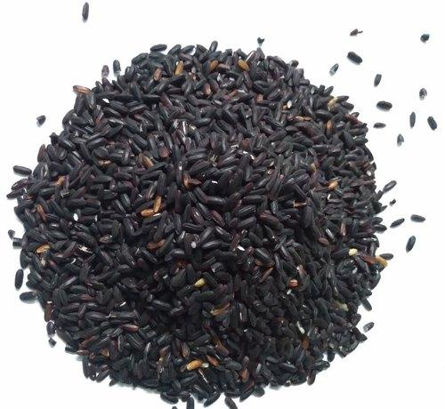 Manipur black rice & Gorakhpur terracotta gets GI tag_50.1