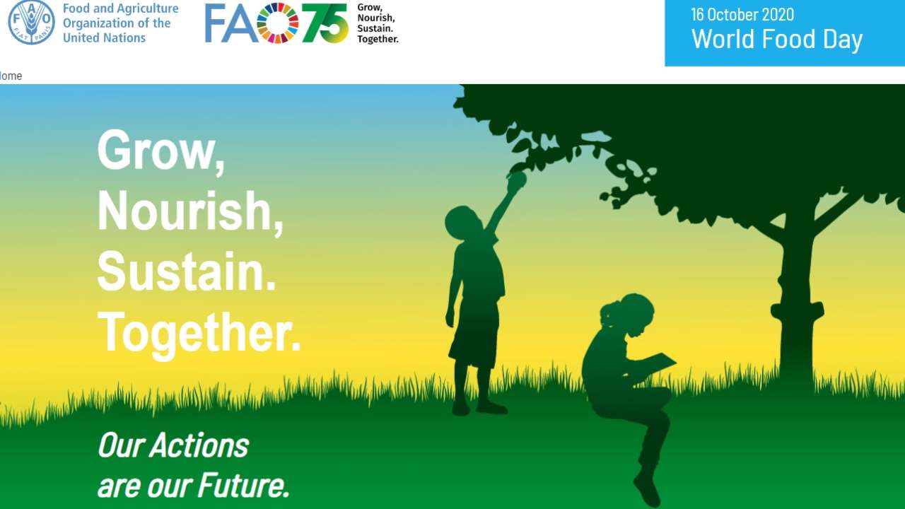 World Food Day: 16 October_40.1