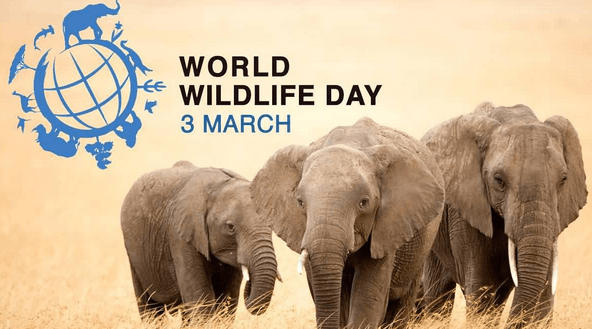 World Wildlife Day observed globally on 3rd March_30.1