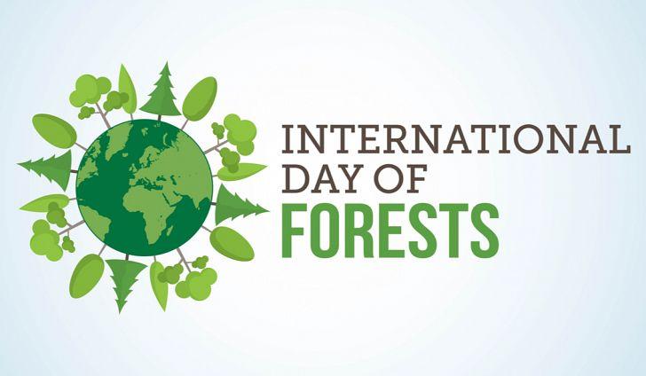 International Day of Forests: 21 March_50.1