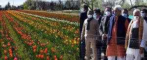 J&K Lieutenant Governor Manoj Sinha inaugurates Tulip Festival_4.1