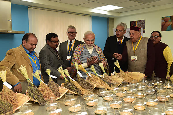 RM Sundaram appointed as Director of Indian Institute of Rice Research | आरएम सुंदरम यांची भारतीय भात संशोधन संस्थेच्या संचालकपदी नियुक्ती_2.1