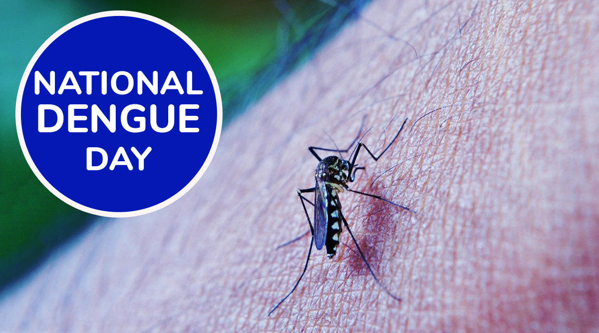 National Dengue Day: 16 May