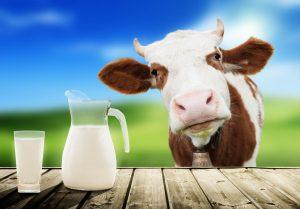 World Milk Day celebrated on 01st June_40.1