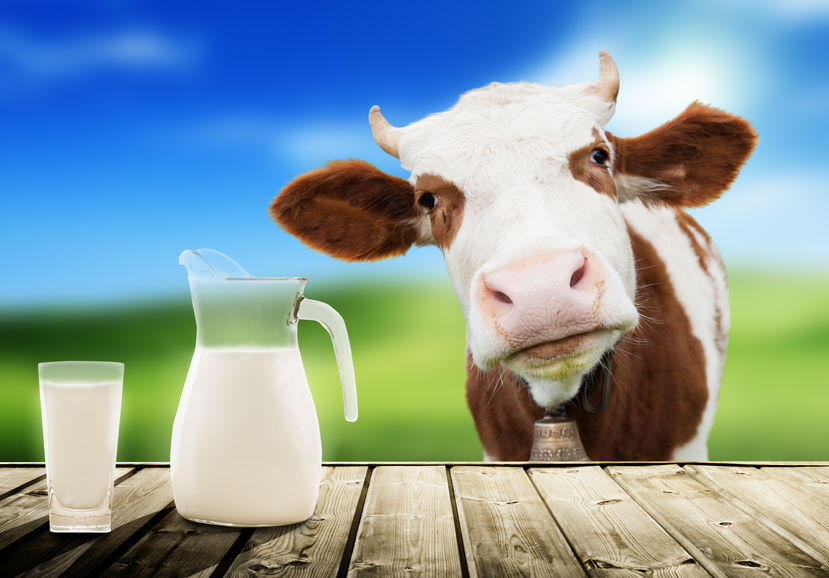 World Milk Day celebrated on 01st June | 1লা জুন বিশ্ব দুগ্ধ দিবস পালিত হয়_2.1