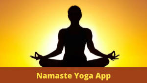 Ministry of Ayush Launches 'Namaste Yoga' App_4.1