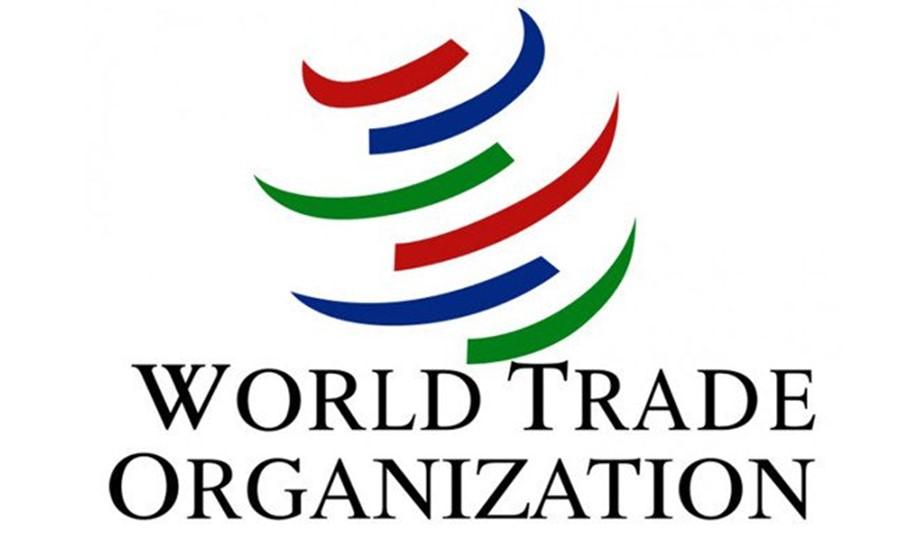 Govt appoints Aashish Chandorkar as director at India's WTO mission I सरकारने आशिष चांदोरकर यांची भारताच्या डब्ल्यूटीओ मिशनमध्ये संचालक म्हणून नेमणूक केली_2.1
