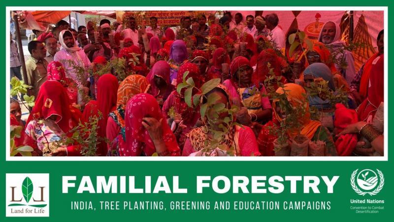 Environmental Organisation 'Familial Forestry' wins prestigious UN Award I पर्यावरणीय संस्था 'फॅमिलीयल फॉरेस्ट्री' ने जिंकला प्रतिष्ठित यूएन पुरस्कार._2.1