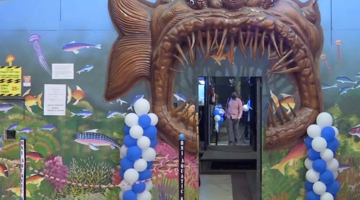 India's first movable freshwater tunnel aquarium installed at Bengaluru Station I बंगळुरु स्थानकात भारतातील पहिले चल गोड्या पाण्यातील भुयारी मत्स्यालय स्थापित_30.1