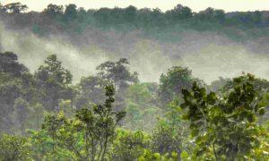 Chhattisgarh becomes 1st state to recognise Forest Resource Rights in Urban Region_4.1