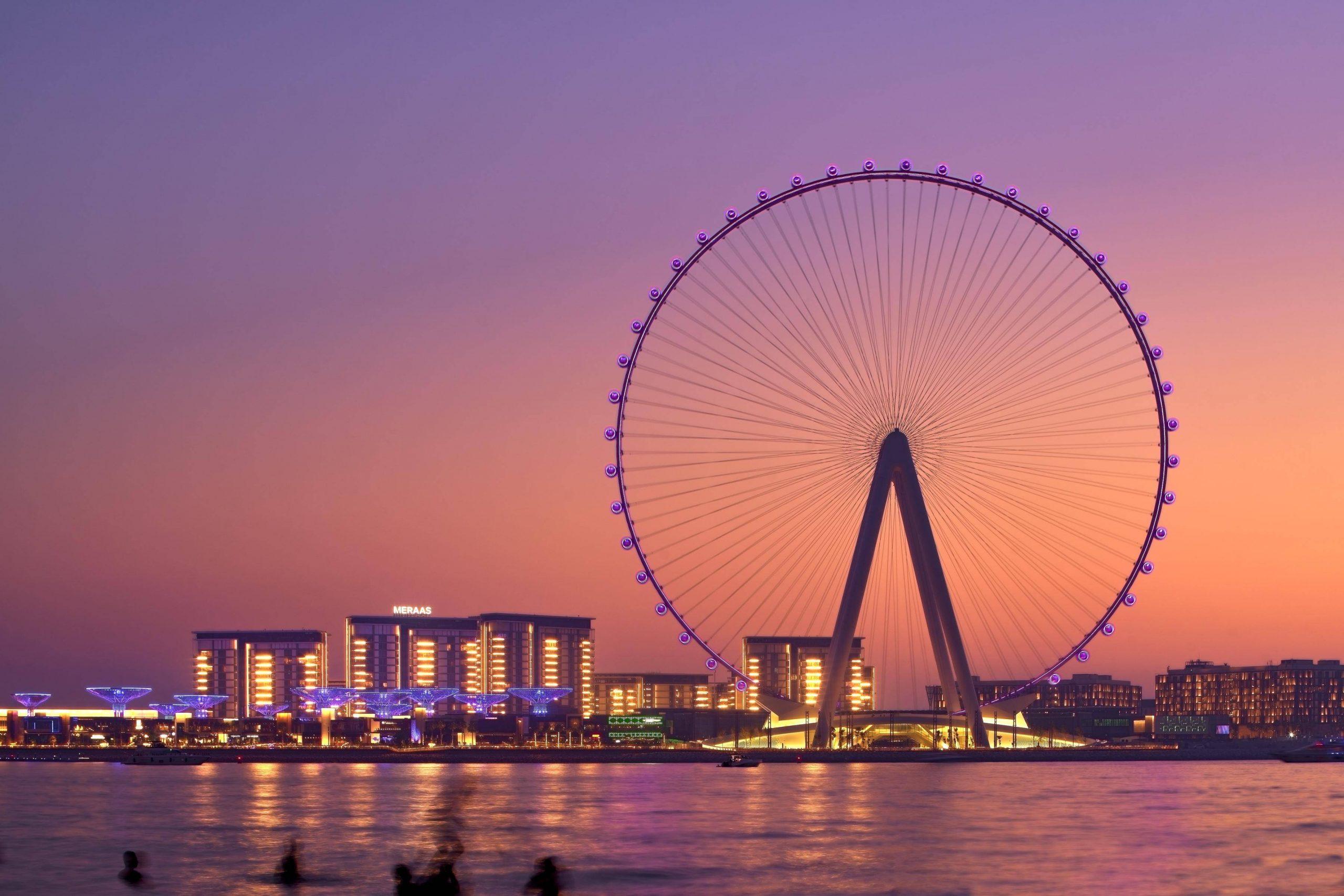 UAE announces the world's tallest observation wheel 'Ain Dubai'_50.1