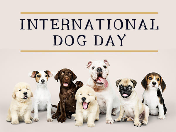 International Dog Day 2021_40.1