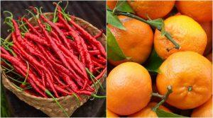 Manipur's Sirarakhong Chilli and Tamenglong Orange gets GI tag_4.1
