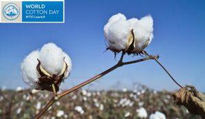 World Cotton Day: 07 October_4.1