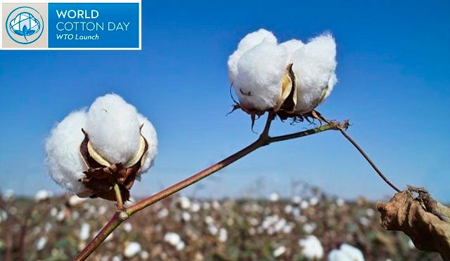 World Cotton Day: 07 October