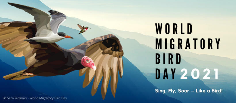 World Migratory Bird Day 2021: 09 October_50.1