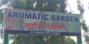 Uttarakhand gets country's largest aromatic garden_4.1