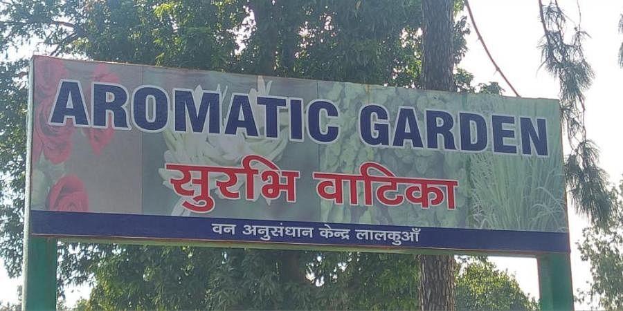 Uttarakhand gets country's largest aromatic garden_40.1