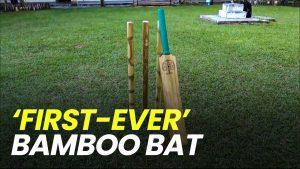 Tripura develops country's 'first-ever' bamboo made cricket bat, stumps_4.1