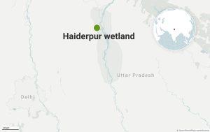 Haiderpur wetland in Uttar Pradesh recognised as Ramsar Site_4.1