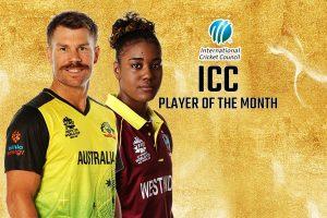 David Warner & Hayley Matthews Bags ICC Player Of The Month For November_40.1