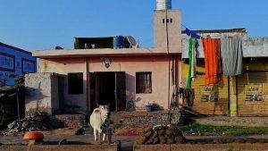 Uttar Pradesh Govt Declares 4 Villages Near Nepal Border as Revenue Villages_40.1