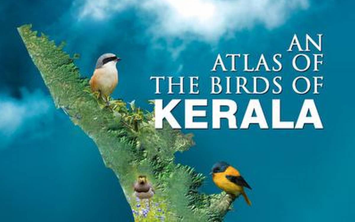Kerala got its first-ever scientific bird atlas_50.1