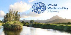 World Wetlands Day 2022: Observed on 02 February Every Year_40.1