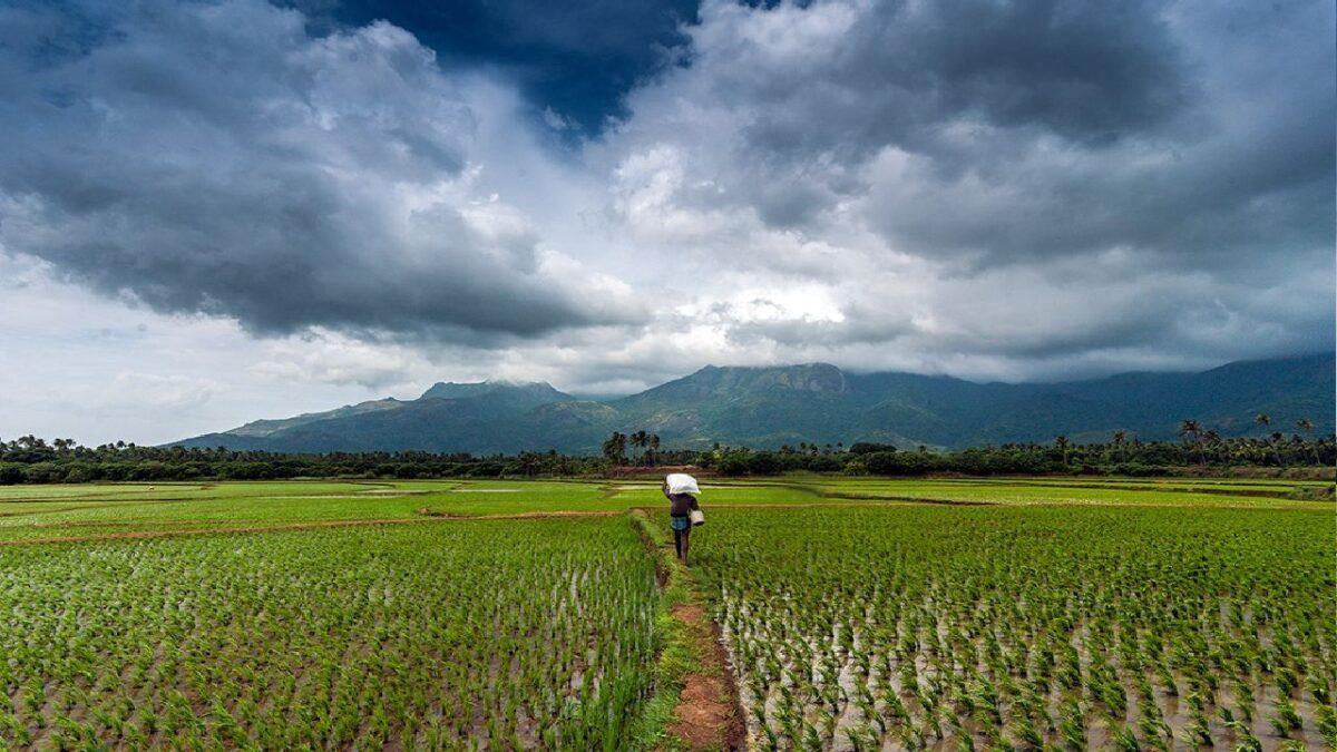 NABARD launched ‘JIVA Programme’ to promote natural farming