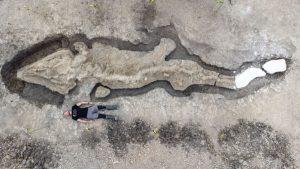 Sea Dragon Dinosaur: UK's researchers found 180-Million-Year-Old Fossil of 'Sea Dragon'_4.1