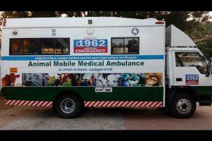 India's first ambulance for street animals launched in Tamil Nadu_4.1