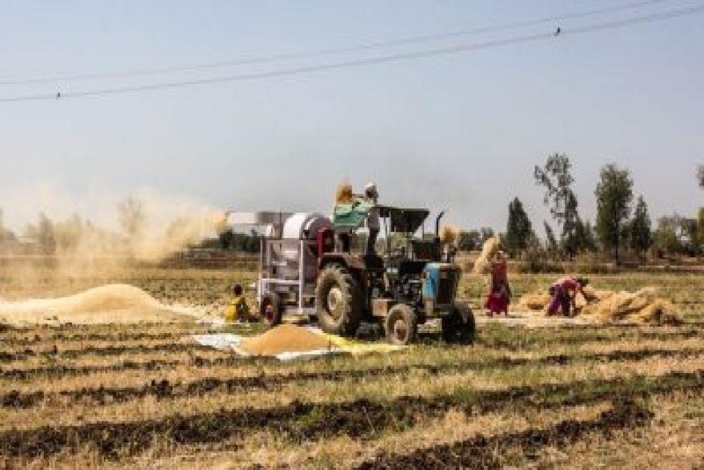 Haryana launched 'Chaara-Bijaee Yojana' for fodder cultivating farmers_40.1