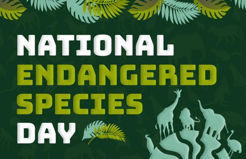 National Endangered Species Day 2022: 20th May Every Year_50.1
