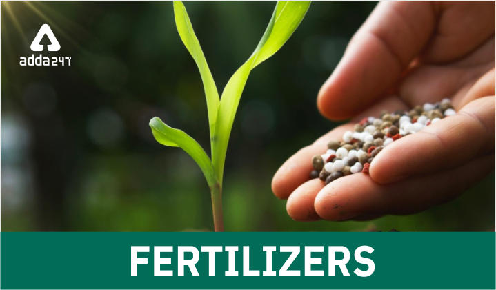 Fertilizers: Types, Uses and Importance 2022 You must know._40.1