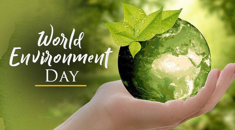World Environment Day 2022: 50th World Environment Day 2022 observed on 5th June_40.1