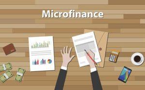 Tamil Nadu became the largest state in outstanding microfinance loan_40.1